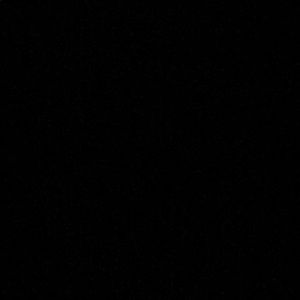 Meet your Posher, Jacqueline